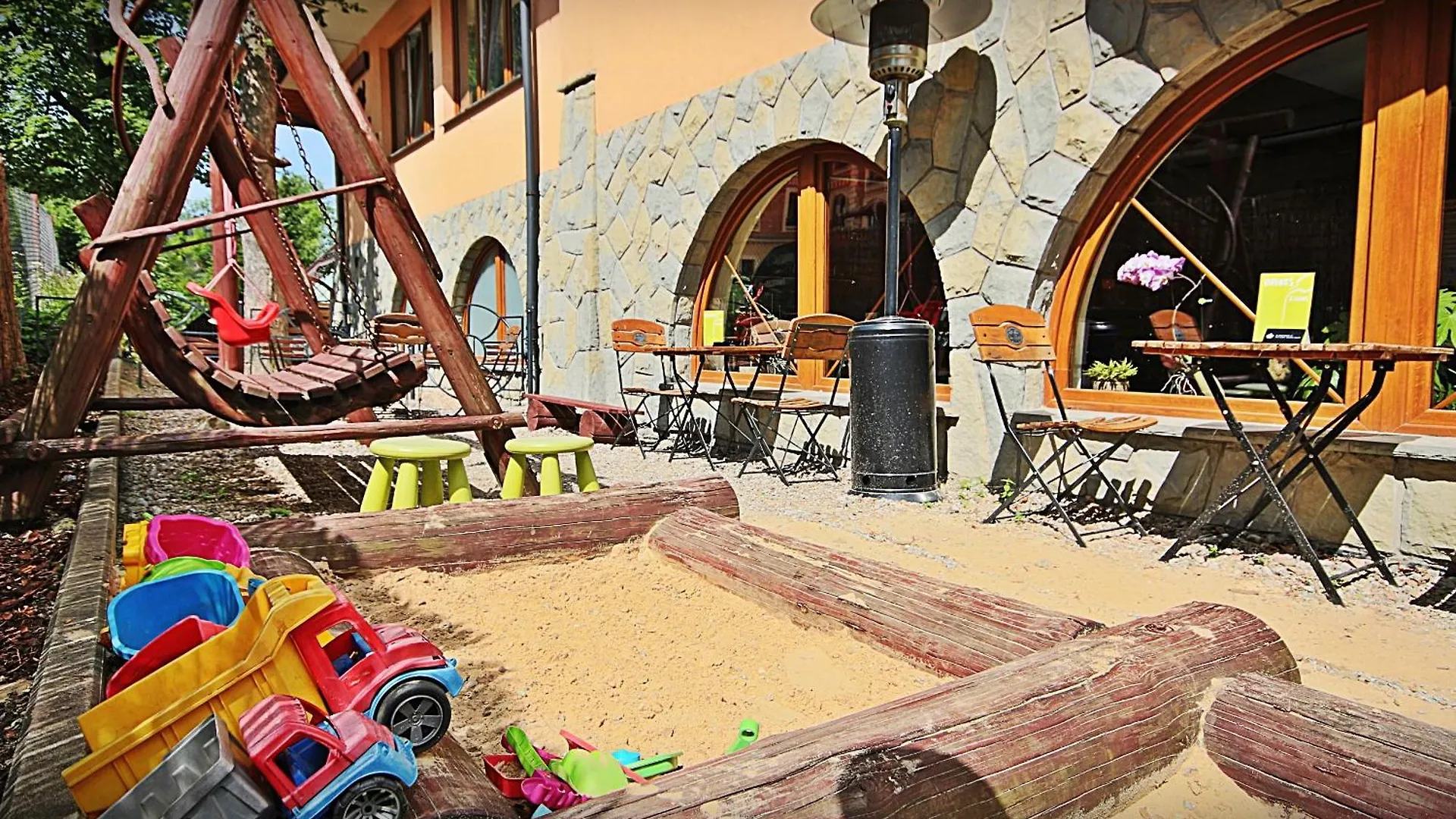 Brzoza W Centrum Zakopanego Zakopane
