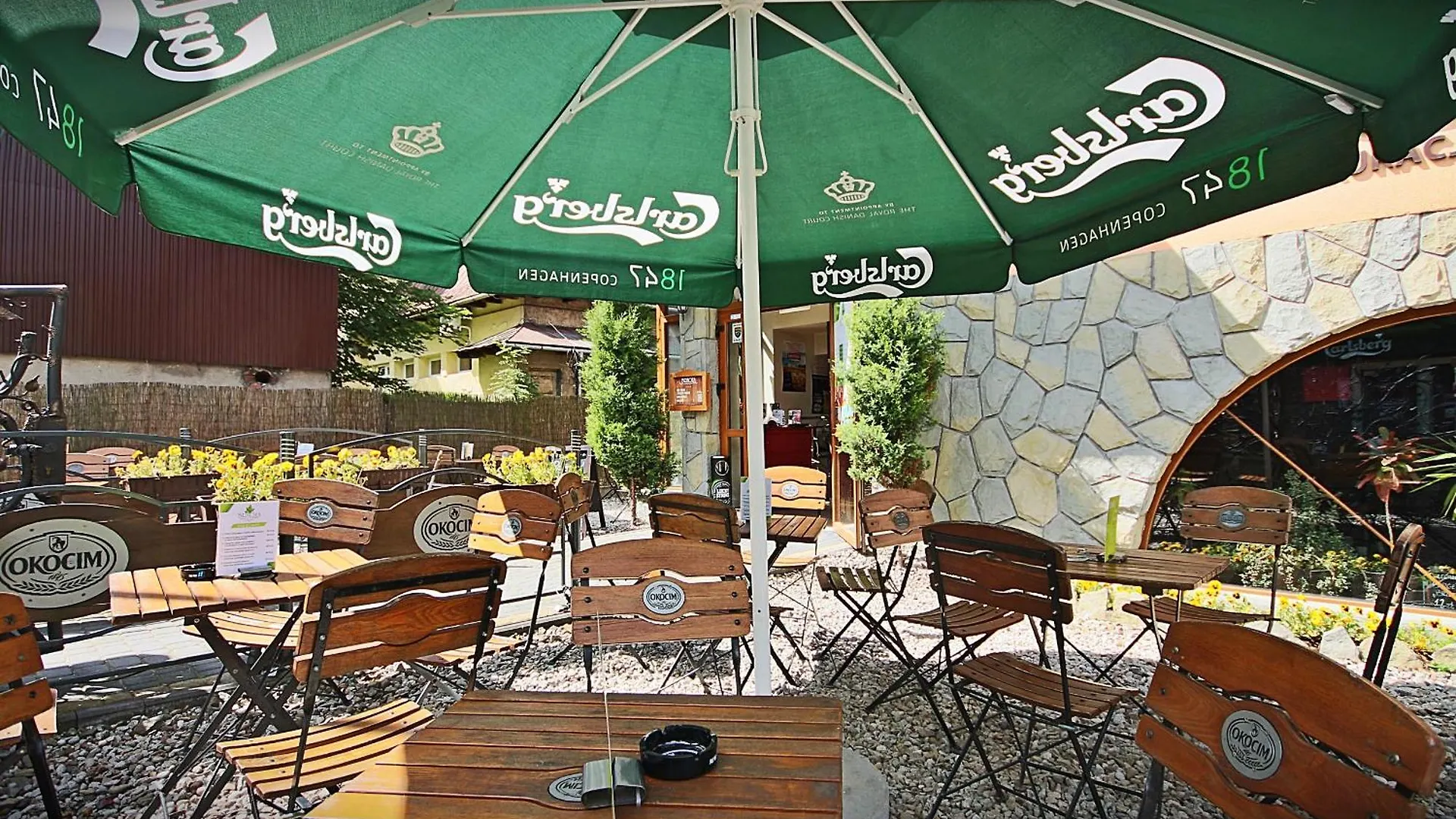 Brzoza W Centrum Zakopanego Poland