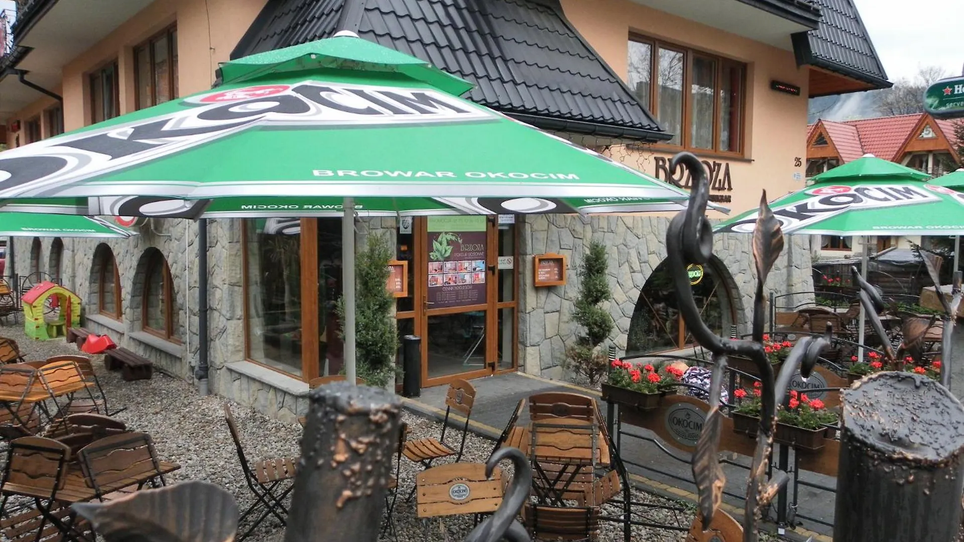 Brzoza W Centrum Zakopanego Poland